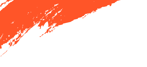 Romana Desentupidora