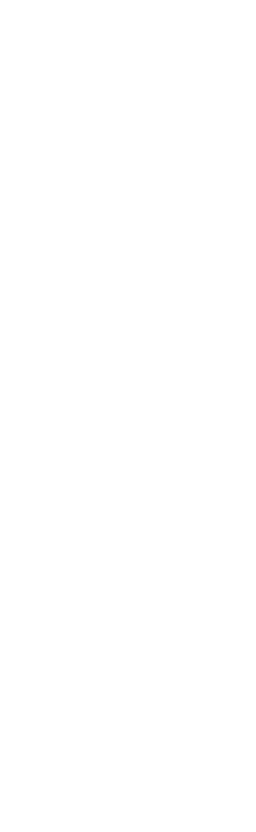 Romana Desentupidora